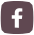 Facebook icon