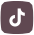 TikTok icon